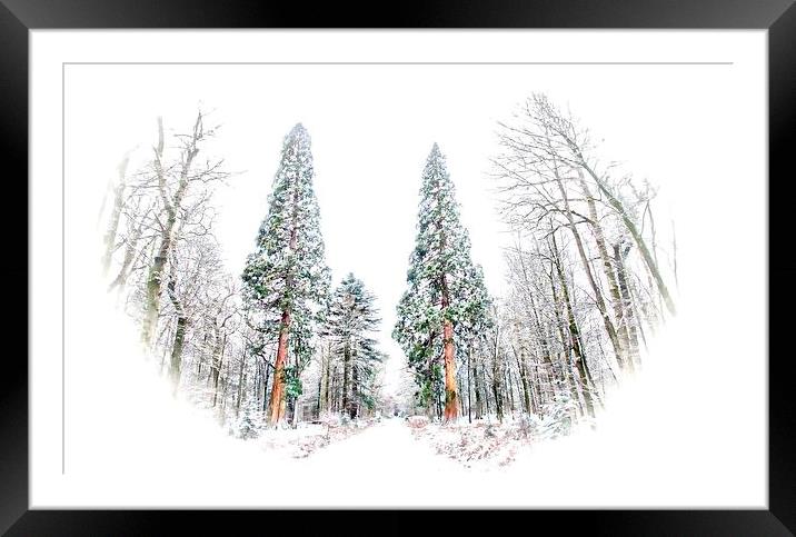  Big Reds in winter in Hampshire's  New Forest.  b Framed Mounted Print by JC studios LRPS ARPS