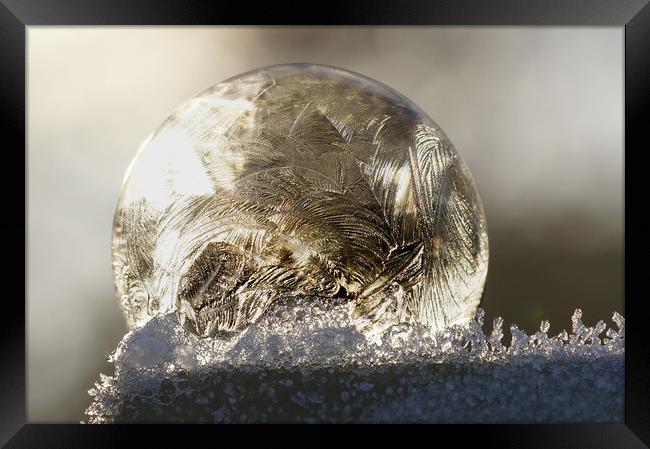 A frozen bubble  Framed Print by JC studios LRPS ARPS