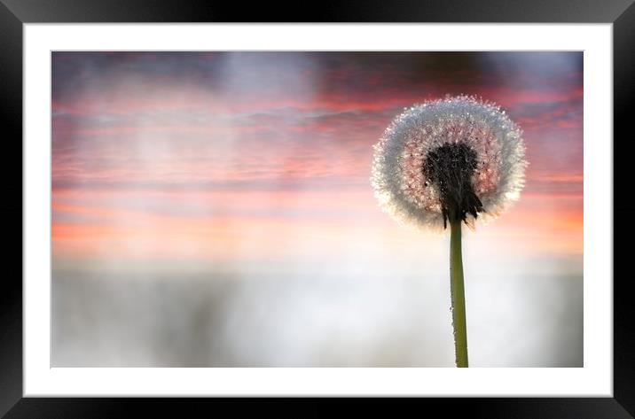Colour of silence Framed Mounted Print by JC studios LRPS ARPS