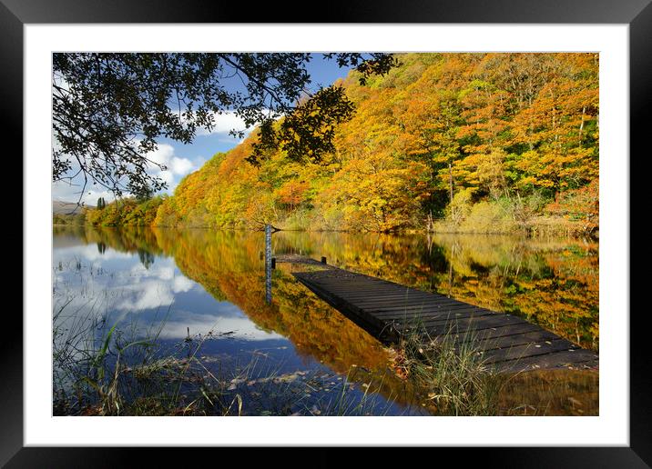 Loch Ard in Autumn Framed Mounted Print by JC studios LRPS ARPS