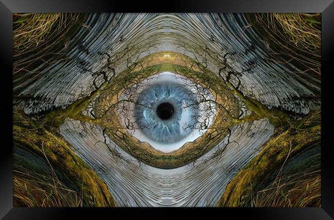 The all seeing eye of nature.. Framed Print by JC studios LRPS ARPS