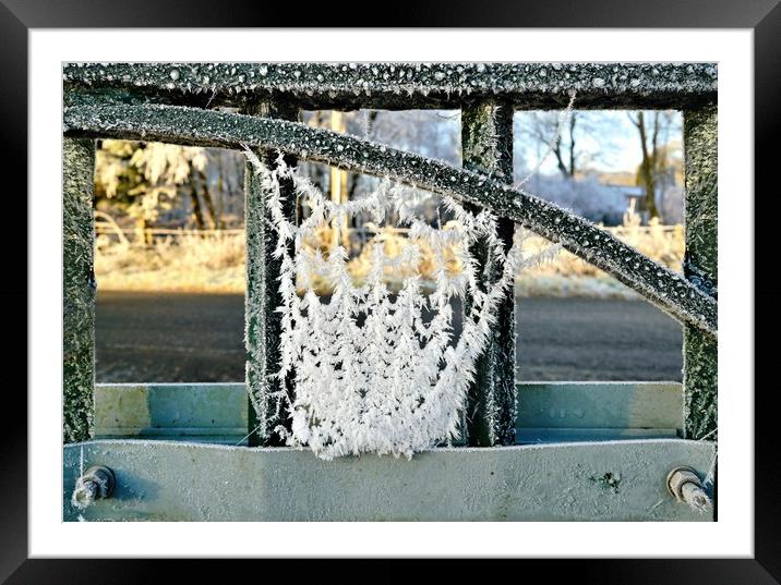 Hoar frost on spders web Framed Mounted Print by JC studios LRPS ARPS
