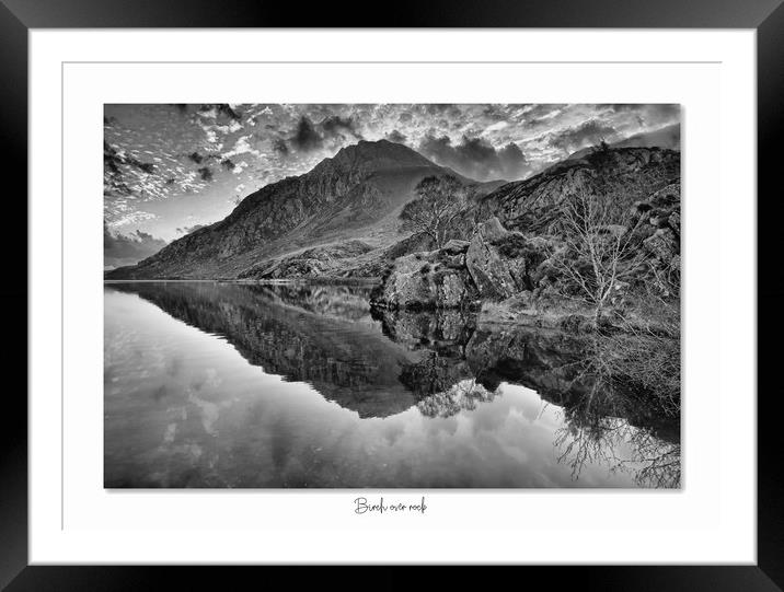 Birch over rock Framed Mounted Print by JC studios LRPS ARPS