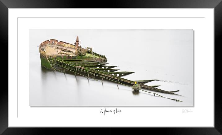 A glimmer of hope wreck Scotland Scottish daffodil Framed Mounted Print by JC studios LRPS ARPS