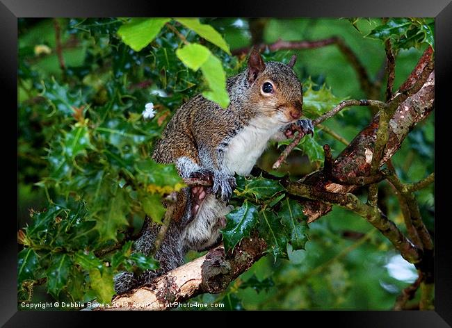 Squirrel Hiding Framed Print by Lady Debra Bowers L.R.P.S