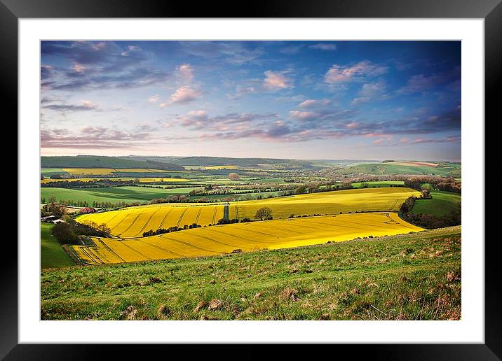 Fields of Gold Framed Mounted Print by Lady Debra Bowers L.R.P.S