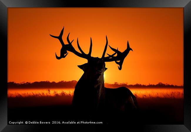 Sunrise/Sunset Stag Framed Print by Lady Debra Bowers L.R.P.S