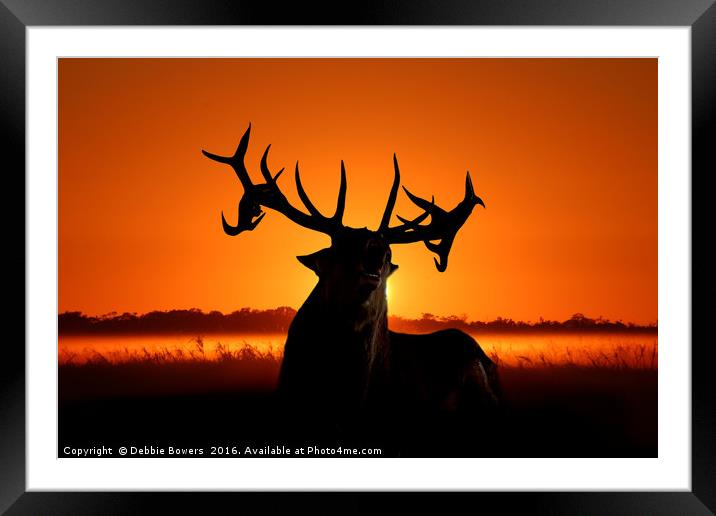 Sunrise/Sunset Stag Framed Mounted Print by Lady Debra Bowers L.R.P.S
