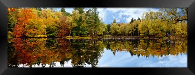 Autumn Reflection Framed Print by Lady Debra Bowers L.R.P.S