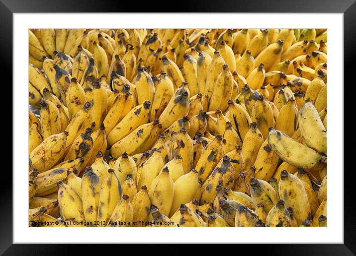 Yellow Bananas Framed Mounted Print by Paul Corrigan