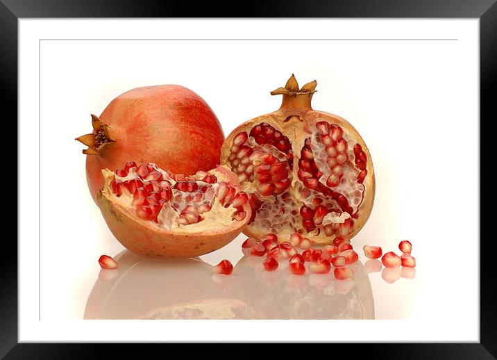 Pomegranate  Framed Mounted Print by Augis Skackauskas
