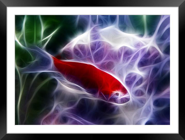 Fractalius Fish Framed Mounted Print by Mark Brindle