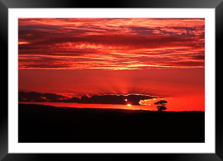 Sunset in Somerset Framed Mounted Print by Stephen Walters