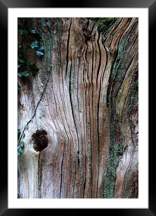 Texture in decay 2 Framed Mounted Print by simon powell