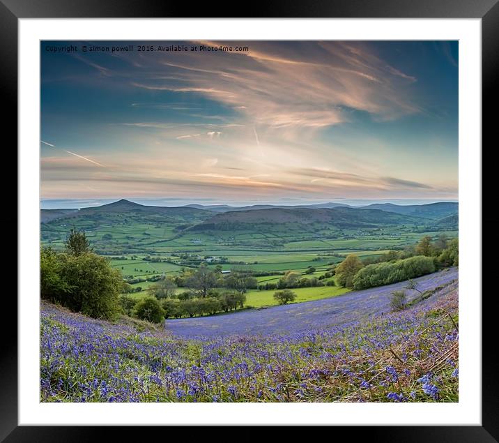 Bluebells skirrid hill Brecon Beacons 8597 Framed Mounted Print by simon powell