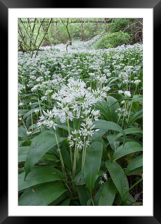 Wild Ransom woodland 8851 Framed Mounted Print by simon powell