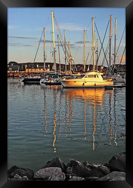 Island Marina Framed Print by Tommy Reilly