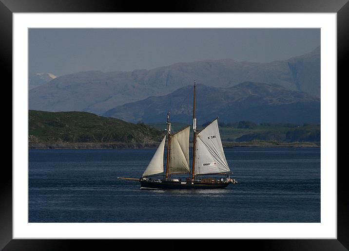 Sailing Framed Mounted Print by Tommy Reilly