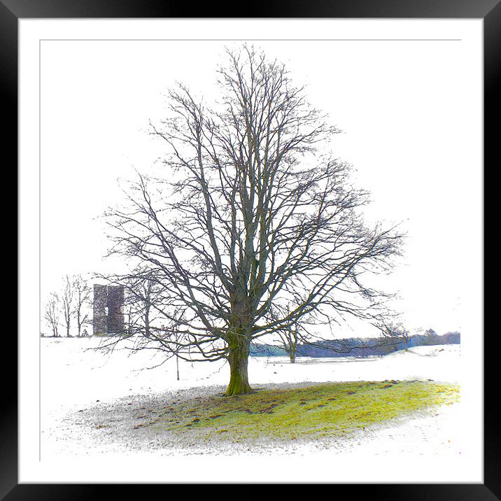 A winters day Framed Mounted Print by Tommy Reilly