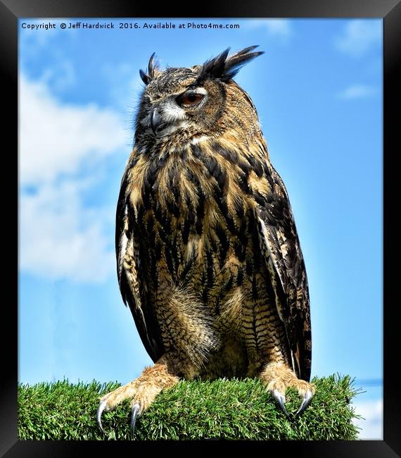 European Eagle Owl Framed Print by Jeff Hardwick