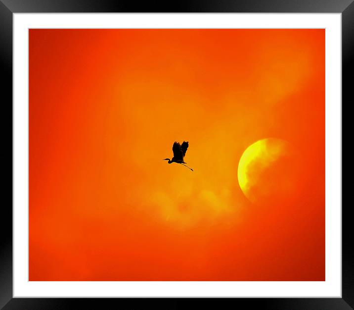 Passing by the sun Framed Mounted Print by Matthew Laming