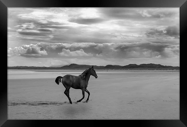 Run like the wind Framed Print by Matthew Laming