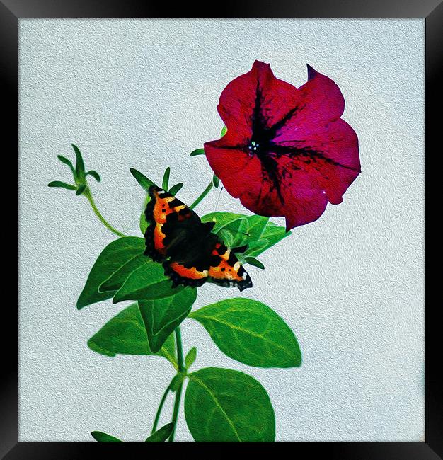 The Butterfly and the Flower Framed Print by Matthew Laming
