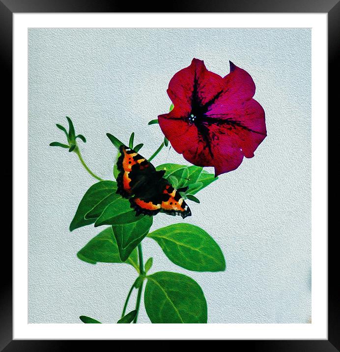 The Butterfly and the Flower Framed Mounted Print by Matthew Laming