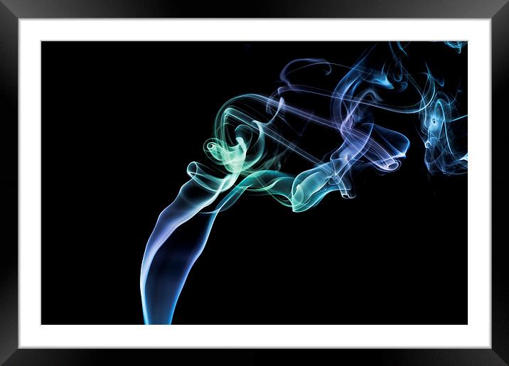 Smokey 4 Framed Mounted Print by Steve Purnell