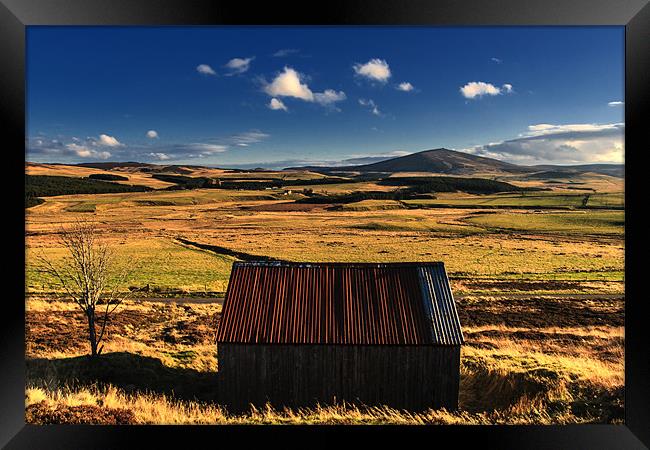 Shed with a View Framed Print by Douglas McMann