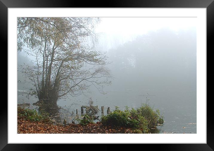 misty morning lake in Shropshire Framed Mounted Print by Carol Young