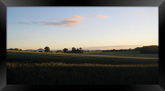 Evening sky Framed Print by Carol Young