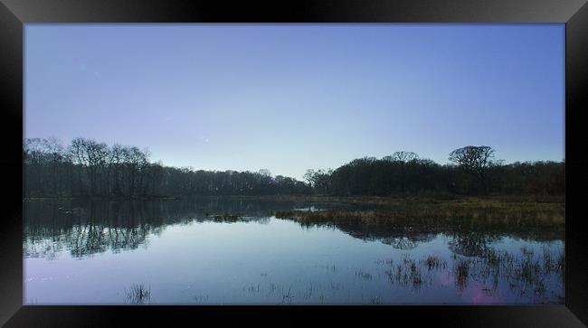 Reflections of a clear blue sky Framed Print by Carol Young