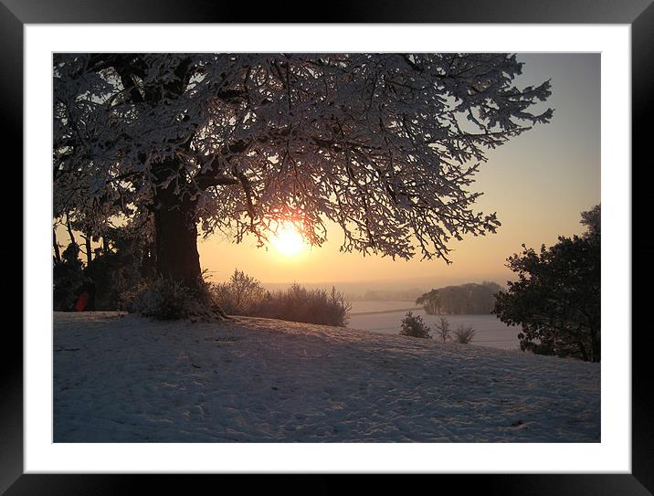 Evening Snow Framed Mounted Print by Carol Young
