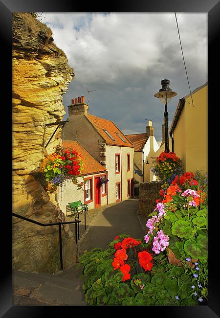 Cove Wynd Framed Print by Bob Legg