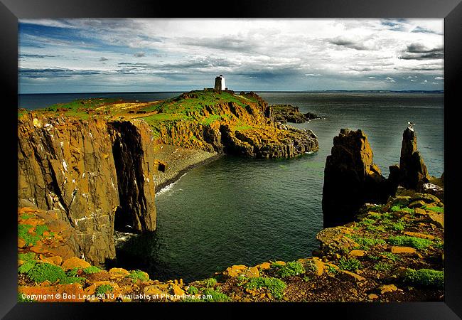 May Island South Horn Framed Print by Bob Legg