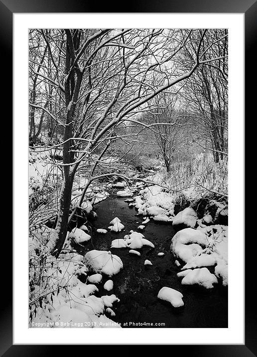 Winter Woods 2 Framed Mounted Print by Bob Legg