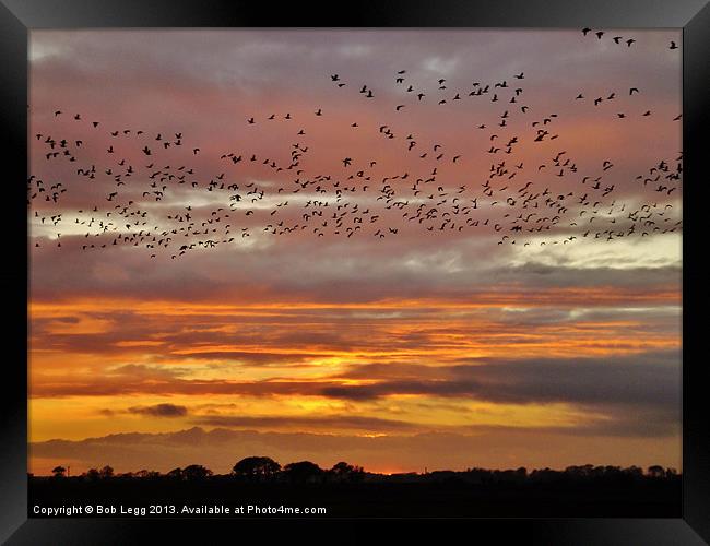 Night Flight Framed Print by Bob Legg