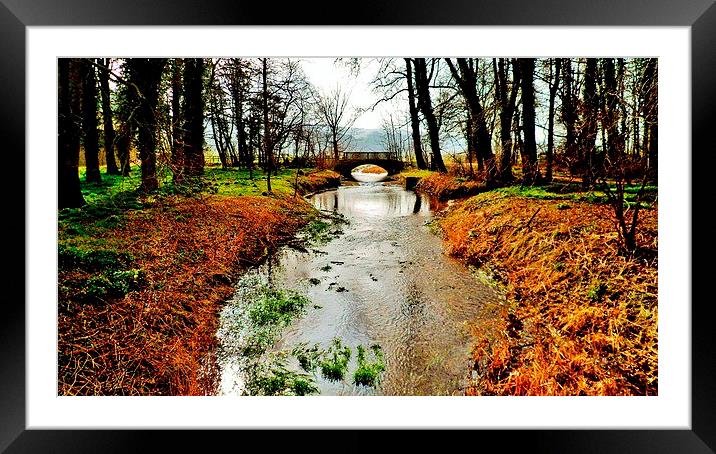  The Bridge Framed Mounted Print by Michael Holliday