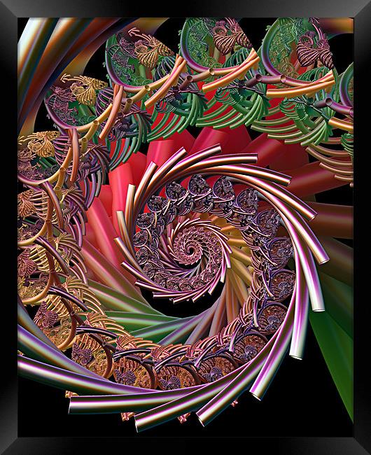 Whole Lotta Rosie Framed Print by Abstract  Fractal Fantasy