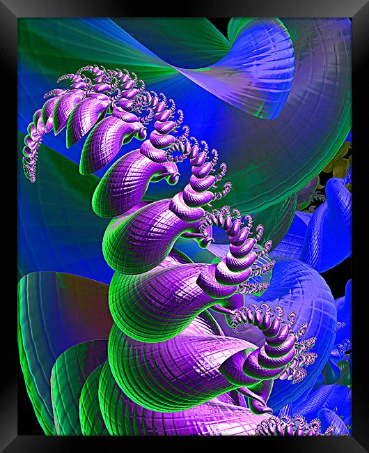 Cockles and Mussels Framed Print by Abstract  Fractal Fantasy