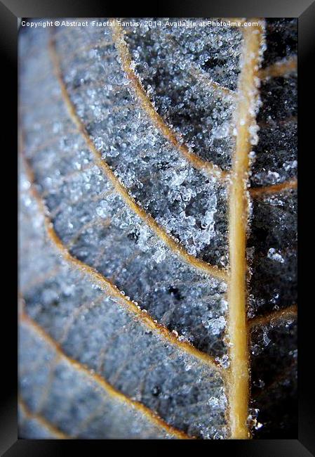 Ice Crystals on leaf Framed Print by Abstract  Fractal Fantasy