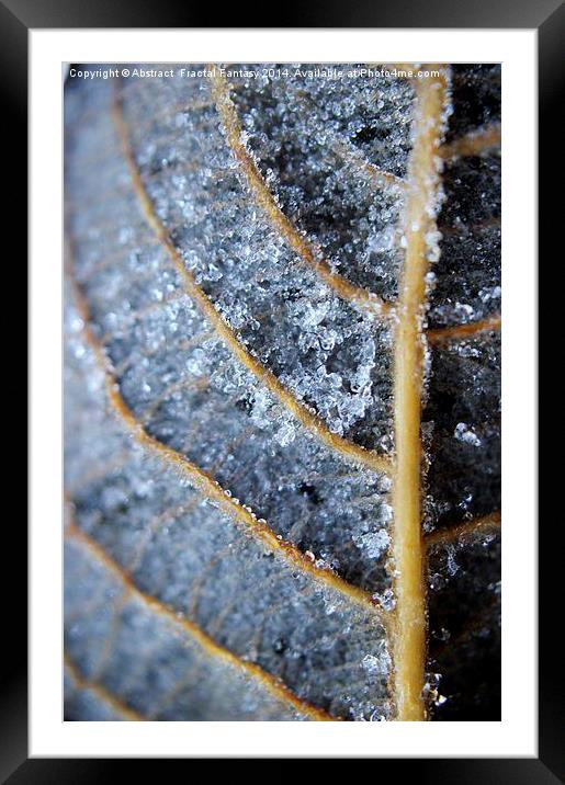 Ice Crystals on leaf Framed Mounted Print by Abstract  Fractal Fantasy