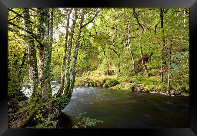 River Teign Dartmoor Framed Print by Jonathan Neale