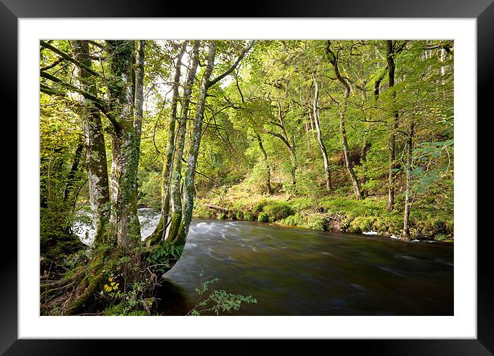 River Teign Dartmoor Framed Mounted Print by Jonathan Neale