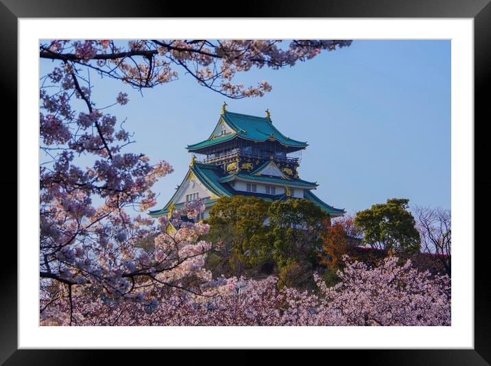 Osaka Castle Framed Mounted Print by Alex Hynes