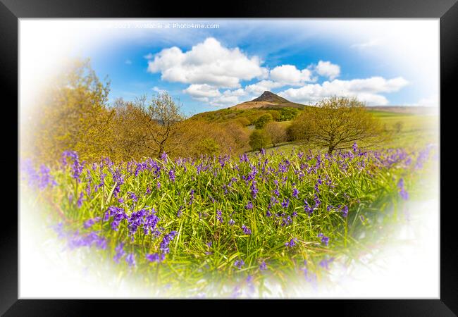 Bluebell Topping Framed Print by Cass Castagnoli