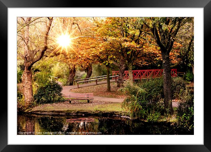 Autumn in the park - Locke Park Redcar Framed Mounted Print by Cass Castagnoli