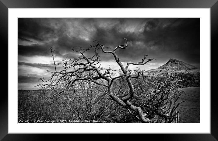 The Gnarled Tree - Roseberry Topping Framed Mounted Print by Cass Castagnoli