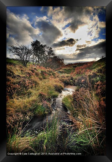 Autumn Moor Framed Print by Cass Castagnoli